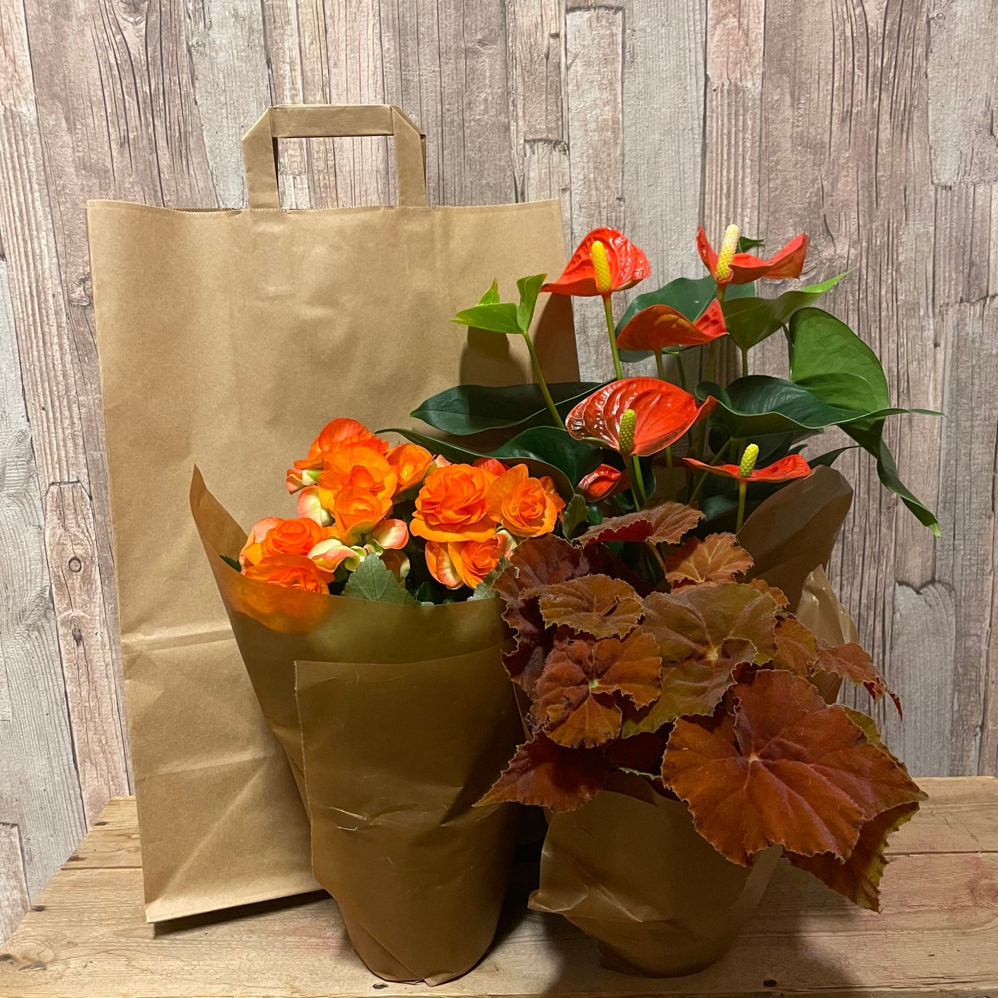 Växtkasse orange/aprikos