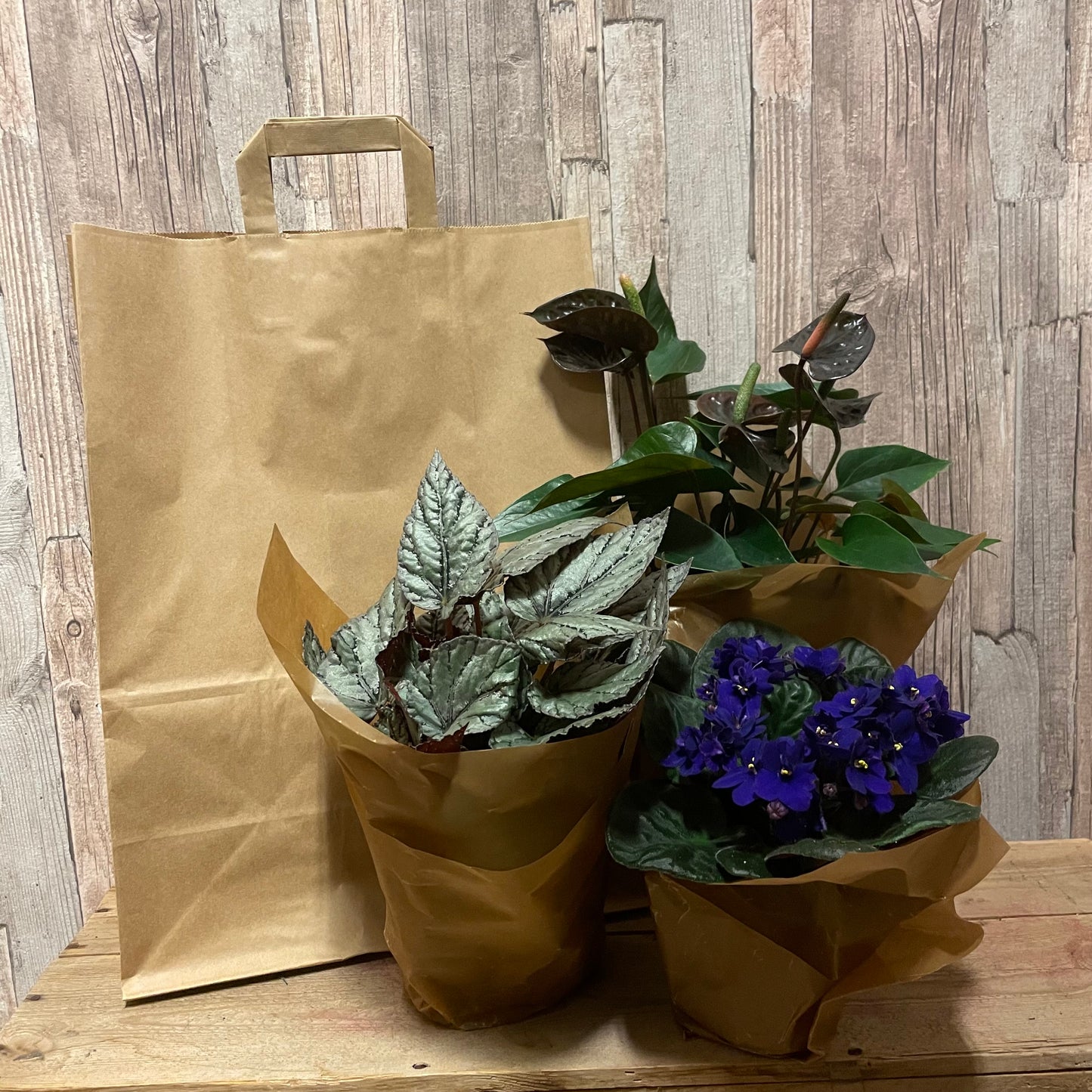 Växtkasse lila/grå