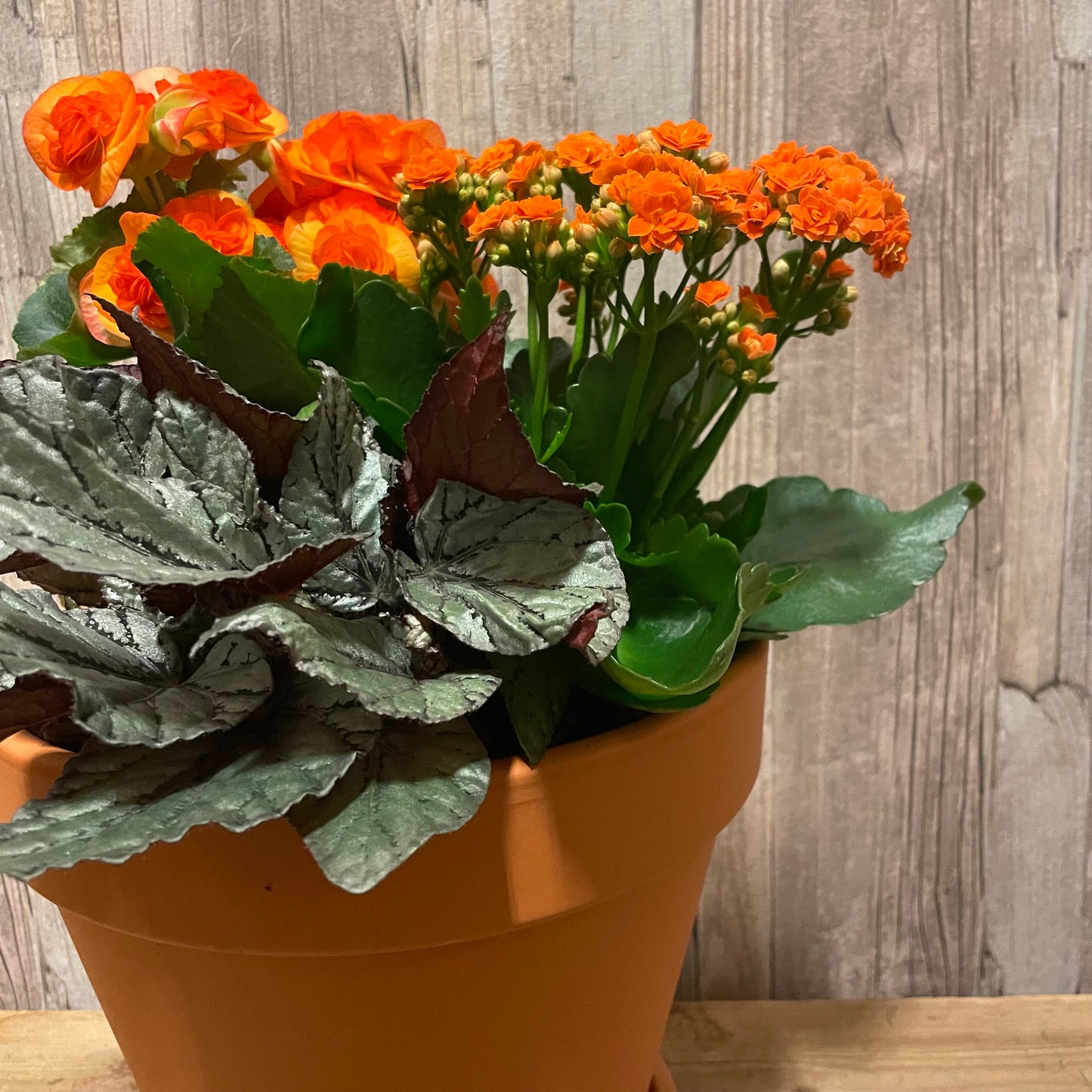 Höstplantering stor