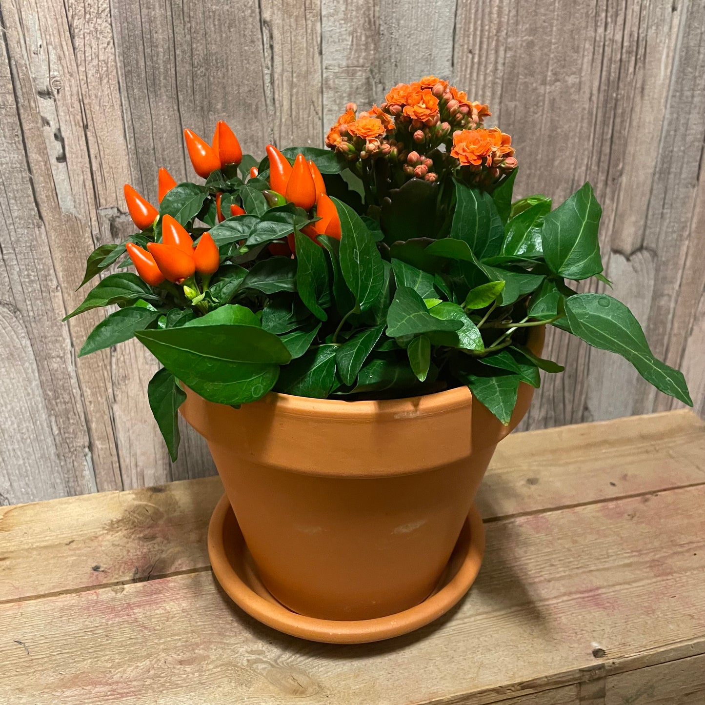 Höstplantering liten