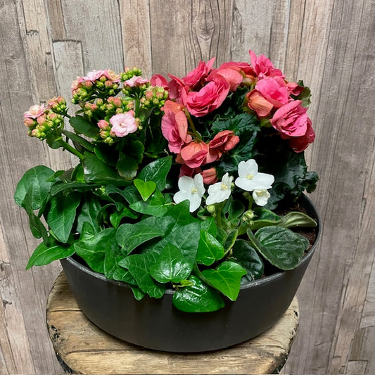 Blomstrande plantering